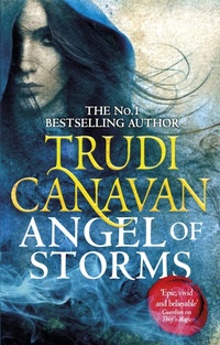 Enlarge image Cover: Angel of Storms - Orbit