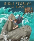 Cover: Bible Stories for Boys - Lion Children's Books