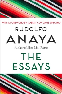 Enlarge image Cover: The Essays - Open Road Media
