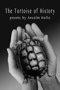 Enlarge image Cover: The Tortoise of History - Coffee House Press