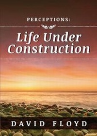 Enlarge image Cover: Perceptions - Tate Publishing & Enterprises