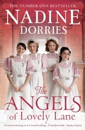 Cover: The Angels of Lovely Lane - Head of Zeus