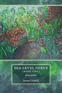 Enlarge image Cover: Sea-Level Nerve - Wordcraft of Oregon