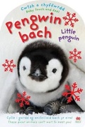 Cover: Cwtsh a Chyffwrdd: Pengwin Bach / Baby Touch and Feel: Little Penguin - Rily Publications Ltd