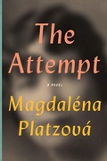 Cover: The Attempt - Bellevue Literary Press