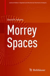 Abbildung von: Morrey Spaces - Birkhäuser
