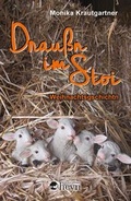 Cover: Drau&szlig;n im Stoi - Heyn
