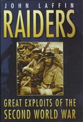 Cover: Raiders - Sutton Publishing Ltd