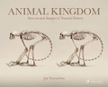 Cover: Animal Kingdom - Prestel