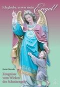 Cover: Ich glaube, es war mein Engel - Mediatrix