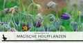Cover: Kartenset Magische Heilpflanzen - Info 3