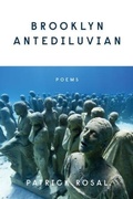 Cover: Brooklyn Antediluvian - Persea Books Inc