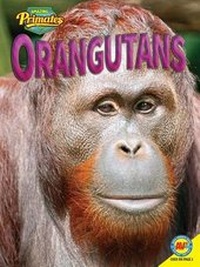 Enlarge image Cover: Orangutans - Av2 by Weigl