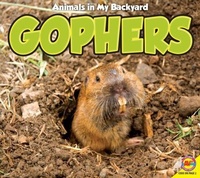 Enlarge image Cover: Gophers - Av2 by Weigl