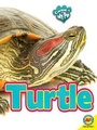 Cover: Turtle - Av2 by Weigl