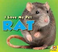 Enlarge image Cover: Rat - Av2 by Weigl