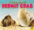 Cover: Hermit Crab - Av2 by Weigl
