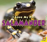 Enlarge image Cover: Salamander - Av2 by Weigl