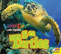 Enlarge image Cover: Sea Turtles - Av2 by Weigl