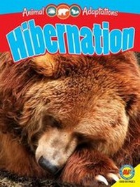 Enlarge image Cover: Hibernation - Av2 by Weigl