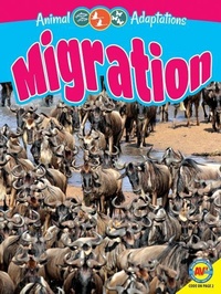 Enlarge image Cover: Migration - Av2 by Weigl