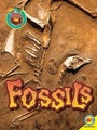 Cover: Fossils - Av2 by Weigl