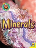 Cover: Minerals - Av2 by Weigl