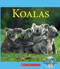 Cover: Koalas - C. Press/F. Watts Trade