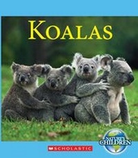 Enlarge image Cover: Koalas - C. Press/F. Watts Trade