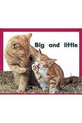 Cover: Big and Little - Rigby