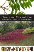 Cover: Shrubs and Vines of Iowa - University of Iowa Press