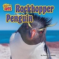 Cover: Rockhopper Penguin - Bearport Books