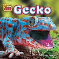 Enlarge image Cover: Gecko - Bearport Publishing Company Inc