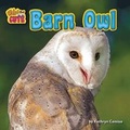 Cover: Barn Owl - Bearport Publishing Company Inc