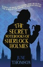 Cover: The Secret Notebooks of Sherlock Holmes - Allison & Busby