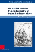 Cover: The Mamluk Sultanate from the Perspective of Regional and World History - V&R unipress
