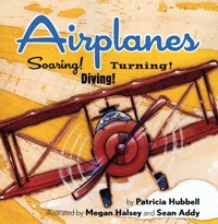 Enlarge image Cover: Airplanes - Marshall Cavendish