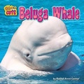 Cover: Beluga Whale - Bearport Publishing Company Inc
