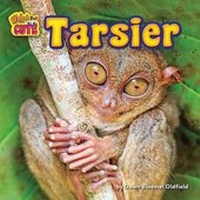 Enlarge image Cover: Tarsier - Bearport Books
