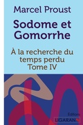 Cover: A la recherche du temps perdu - Ligaran