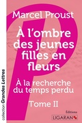 Cover: A l'ombre des jeunes filles en fleurs (grands caract&egrave;res) - Ligaran