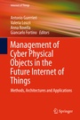 Cover: Management of Cyber Physical Objects in the Future Internet of Things - Springer