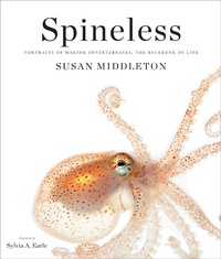 Abbildung von: Spineless - Abrams