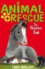 Cover: The Homeless Foal - Stripes Publishing