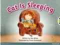 Cover: Bug Club Pink A Cat is Sleeping 6-pack - Pearson Education Limited