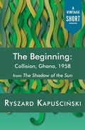 Cover: The Beginning - Vintage