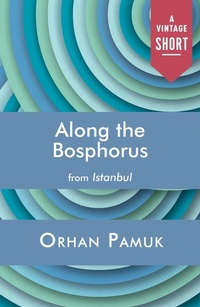 Abbildung von: Along the Bosphorus - Vintage