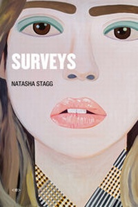 Enlarge image Cover: Surveys - Semiotext (E)