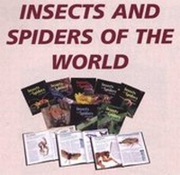 Enlarge image Cover: Insects and Spiders of the World - Cavendish Square Publishing