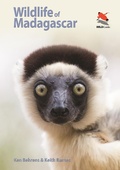 Cover: Wildlife of Madagascar - Princeton University Press